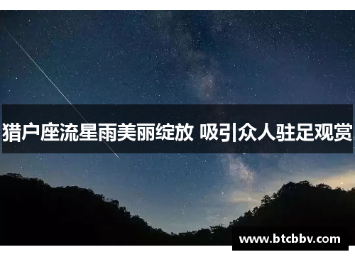猎户座流星雨美丽绽放 吸引众人驻足观赏